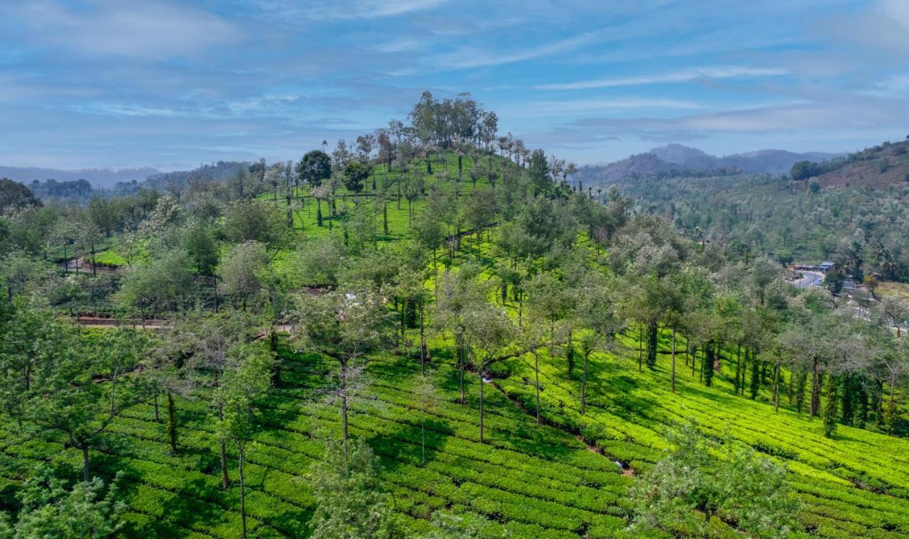 Amritara Shalimar Spice Garden & 5*