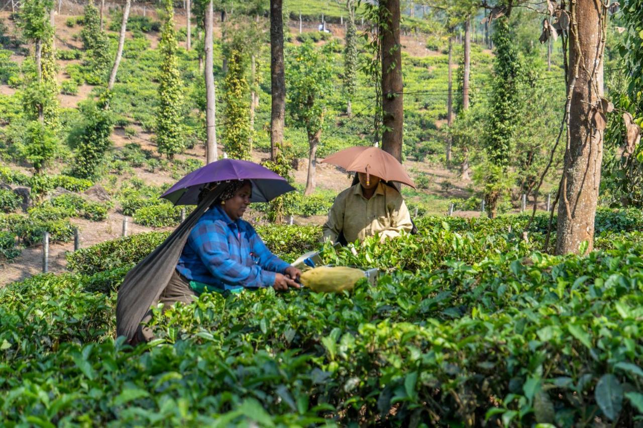 Amritara Shalimar Spice Garden & सहारा